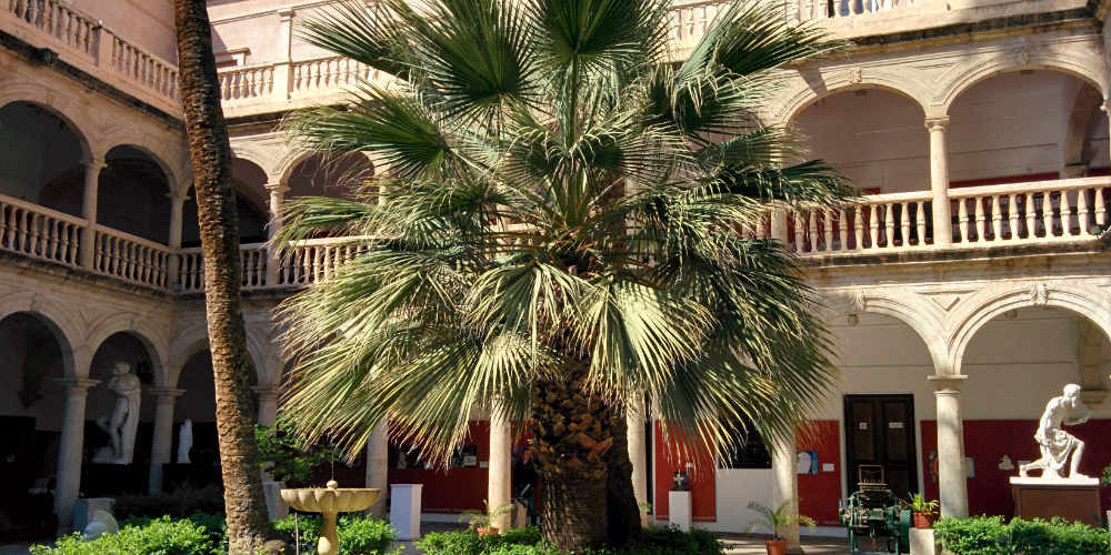 Binnenplaats / patio van de Escuela de Arte de Almería