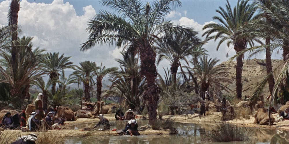 Lawrence en zijn strijders rusten bij een oase
